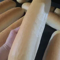 به یک شاطر و وردست نان فانتزی نیازمندیم