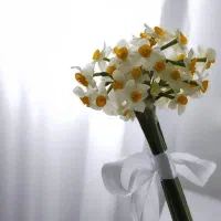 طلاسی50هزارهدیه