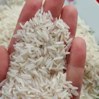 برنج طارم هاشمی عطری اعلا درجه یک موجوده