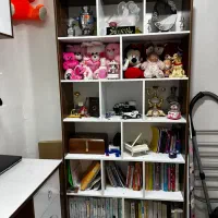 کتابخانه ومیزتحریر|کتابخانه، شلف، قفسه‌های دیواری|بهارستان, |دیوار