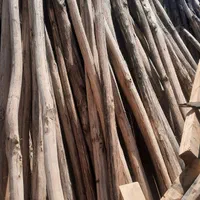 تخته و الوار چوب|عمدهفروشی|شیراز, دارالرحمه|دیوار