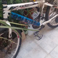 دوچرخه ۲۴ گالانت|دوچرخه، اسکیت، اسکوتر|ری, شهادت|دیوار