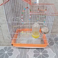 قفس مرغ عشق|لوازم جانبی حیوانات|مریوان, |دیوار