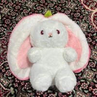 عروسک خرگوشی سوپرایزی|اسباب‌بازی بچه|سقز, |دیوار