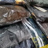 شلوار مخمل|لباس|سنندج, |دیوار