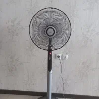 پنکه تیولیپس