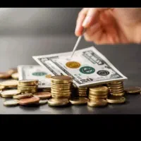 نیازمند ضامن با فیش حقوقی