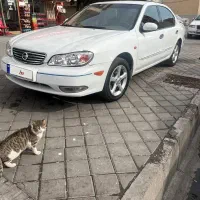 ماکسیما 86 در حد