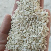 برنج شهری|خوردنی و آشامیدنی|مارگون, |دیوار