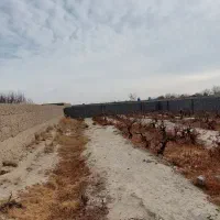 چهاردیواری-800متری-شهریار-میدان-نماز-نعمت-آباد-ونک