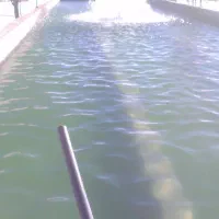 زمین با دو چاه آب و استخر پرورش ماهی