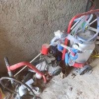 شیردوش|لوازم جانبی حیوانات|شباب, |دیوار