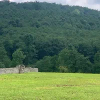 ف‌ووری زمین 270متری*پلاک1جنگل*سندتکبرگ*زیرقیـ‌مت