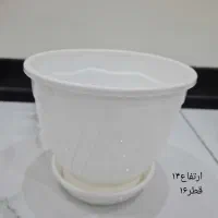 گلدان|گل و گیاه طبیعی|تهران, کیانشهر|دیوار