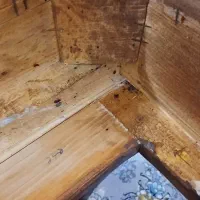 سم پاشی(سمپاشی)فروش سم ساس سوسک موش موریانه وحشرات|خدمات نظافت|سمنان, |دیوار