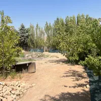 فروش فوری یه تیکه بهشت با درختای بارده|فروش زمین و ملک کلنگی|تهران, بوستان سرخه حصار|دیوار