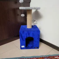 درخت گربه و اسکرچر