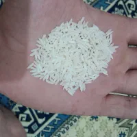 برنج هاشمی