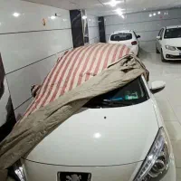 ۲۰۷ پانا اپشنال