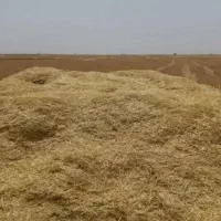 ۳۰ تن کاه گندم