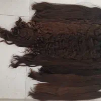 خریدار اصلی مو طبیعی|خدمات آرایشگری و زیبایی|شیراز, فاضل|دیوار