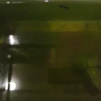 فروش ماهی گوپی در سه نژاد دیوانه ای 15000هزاز