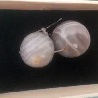 مهره سلیمانی اصلی