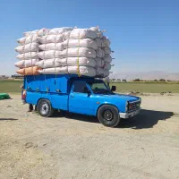 یونجه درجه یک