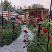 طراحی فضای سبز گل کاری باغبانی هرس پیوند|خدمات باغبانی و درختکاری|قم, بنیاد|دیوار