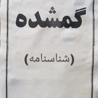 گمشده شناسانه