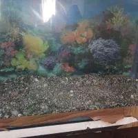 یه اکواریوم بالوازمش به فروش میرسد