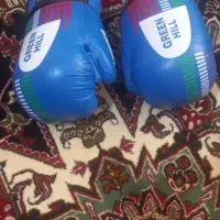 دستکش بوکس و کیک بوکس