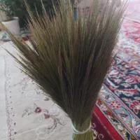 جارو مرمری تازه