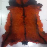 پوست جلو دری