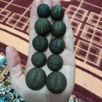 فسیل های مرجان دو کفه ای کلکسیونی|کلکسیون اشیاء عتیقه|خرم‌آباد, |دیوار