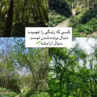 داوطلبانه گیلان