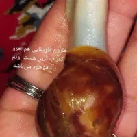 تخفیف عیدانه حلزون البینو فیشیال خاک حلزون