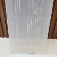 باکس پلاستیکی چرخدار|ظروف نگهدارنده، پلاستیکی، یک‌بارمصرف|شیروان (خراسان), |دیوار