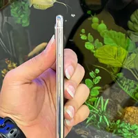 آیفون XS نقره‌ای 256GB اصل با گارانتی|موبایل|نیشابور, هفده شهریور|دیوار