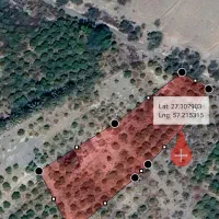 فروش یه قطعه زمین باغی برنطین