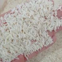 برنج طارم هاشمی|خوردنی و آشامیدنی|ساری, |دیوار