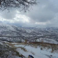 حواله اطلس s ۹۰ روزه