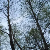 نیاز به کار در منزل دارم