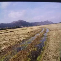 زمین شالیزار نسخ می‌باشد اقدام به سند می‌باشد|فروش زمین و ملک کلنگی|لوندویل, |دیوار