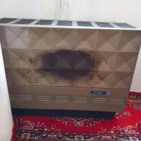 جنس قدیم. کاملا سالم