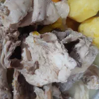 غذای خانگی گربه|لوازم جانبی حیوانات|تهران, سازمان برنامه جنوبی|دیوار