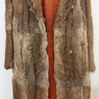 پالتوی پ.وست