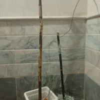 گلدان