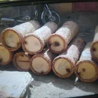 کندو زنبور عسل،شهرستان سردشت