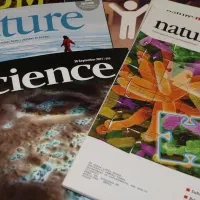 ترجمه متون و نگارش تحقیق